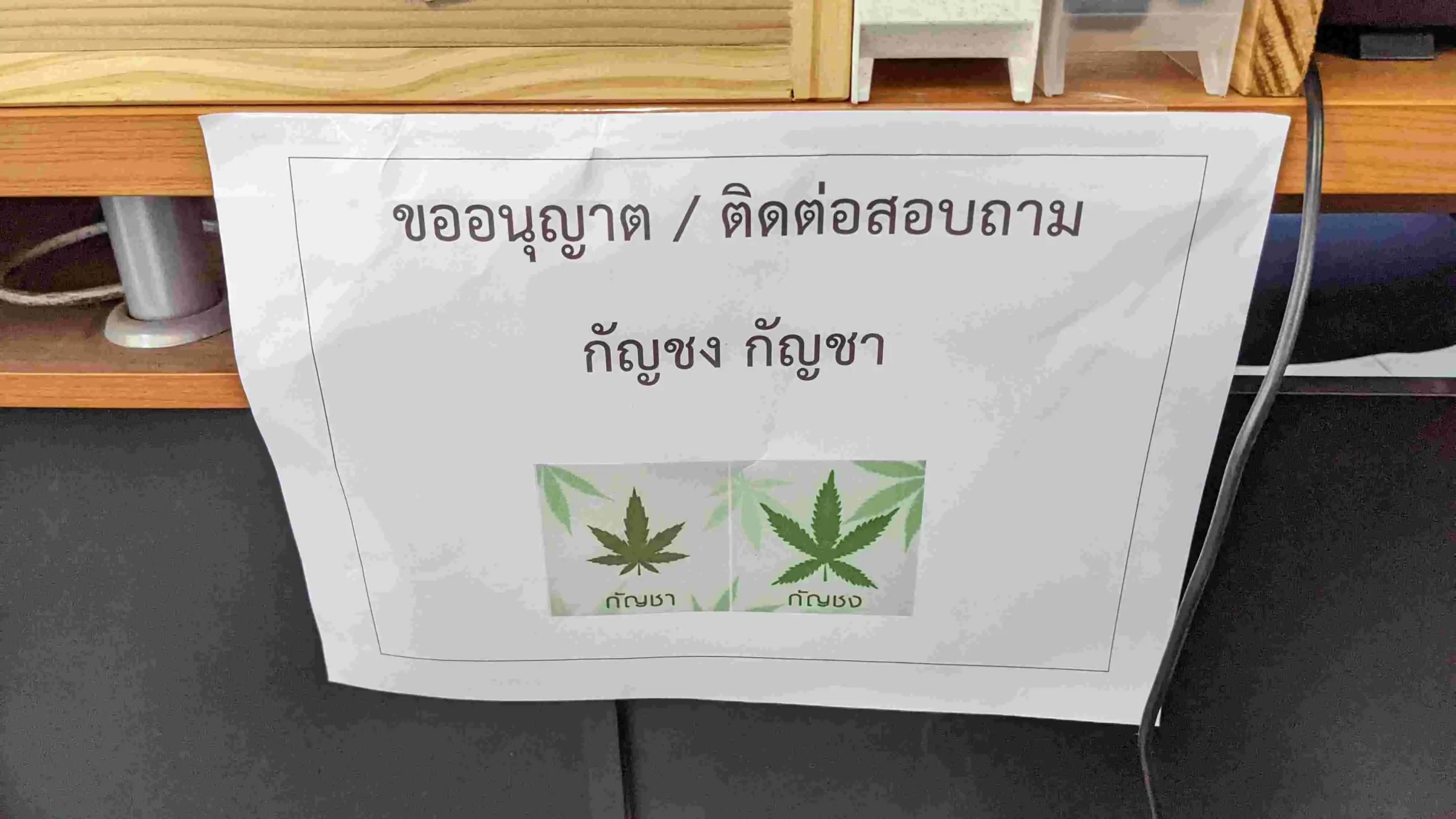 タイ　大麻販売ライセンス